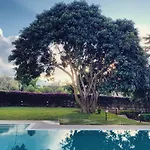 Il Giardino Di Venere Mondello