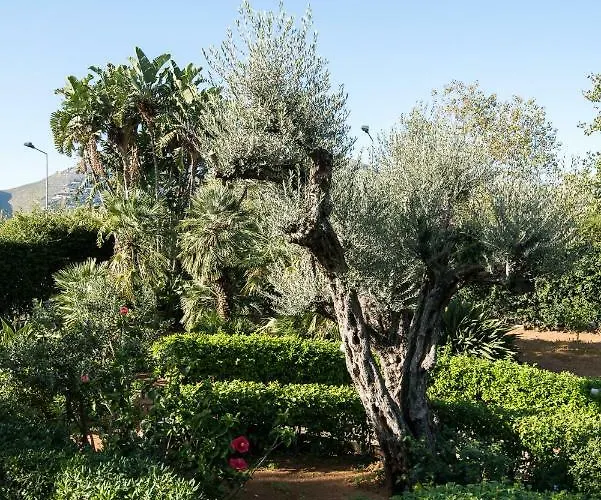 Il Giardino Di Venere ゲストハウス モンデッロ